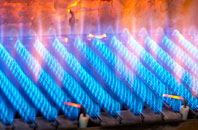 Canford Heath gas fired boilers